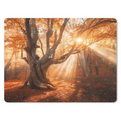 Produktbild von MuchoWow® Mauspad Mousepad Baum - Natur - Herbst 40x30 cm - Mousepads - Maus Mat - Pad - Mausunterlage - Anti Rutsch