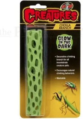Immagine prodotto di Creature Ramo Cholla
