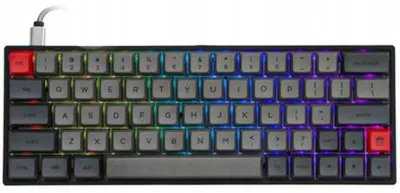 Image de Clavier Gaming Mécanique Epomaker SKYLOONG SK-61 PANDA RGB
