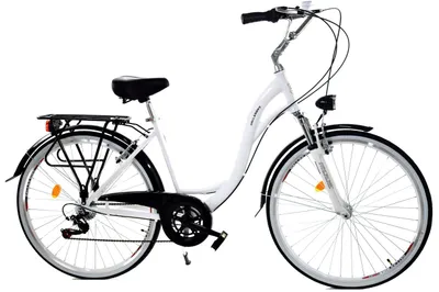 Zdjęcie produktu dla Rower Dallas City Alu 28" 7spd - biały z czarnym