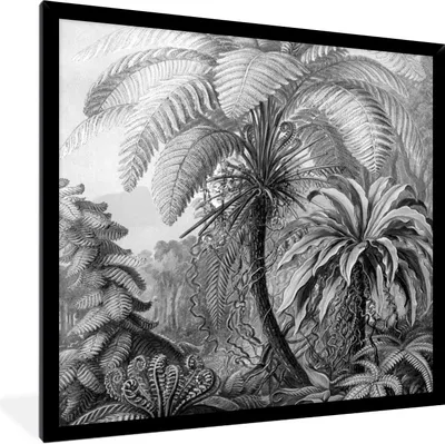Produktbild von MuchoWow® Gerahmtes Poster Pflanzen - Schwarz und weiß - Design - Illustration - Botanisch 40x40 cm - Poster mit Schwarzem Bilderrahmen Wandposter Rahmen Foto Bilder - Mit Rahmen - Wanddekoration Schlafzimmer