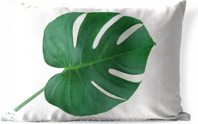 Produktbild von MuchoWow® Outdoor Kissen - Botanische Lochpflanze auf einem hellgrauen Hintergrund - 60x40 cm - Wetterfest - Lounge Kissen - Zierkissen - Kissen für Innenräume