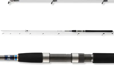 Produktbild von DAIWA Grandwave Seatrout, 3,05m, 10ft, 10-40g, 2 Teile, Forellen Angelrute, 11883-300