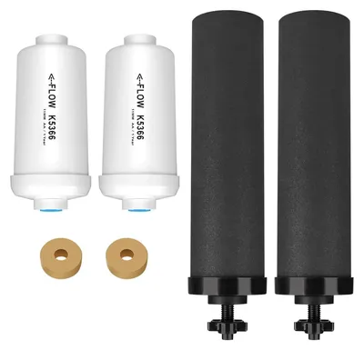 Ersatz-Wasserfilter für Berkey BB9-2 + PF-2, 2 Stück