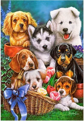 Image de Castorland Puppies, puzzle 1000 pièces