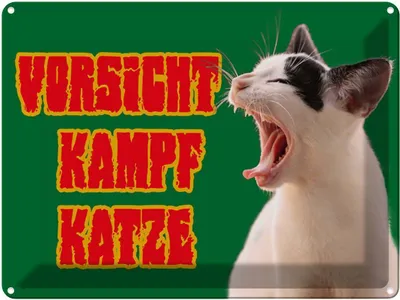 Immagine prodotto di vianmo Insegna di latta 30x40 cm Vorsicht Kampfkatze grün