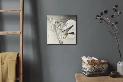 Produktbild von Coloray Hodiny Unikátní 30x30 cm  Tiché hodiny Pro obývací pokoj a kuchyň Nástěnné hodiny Plátno Bílé ručičky hodin - Zvířata ptáci kachny