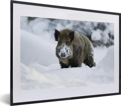 Produktbild von MuchoWow® MuchoWow® Gerahmtes Poster Wildschwein - Schnee - Tier 40x30 cm - Poster mit zchwarzem Bilderrahmen - Bilderrahmen - Poster im Rahmen