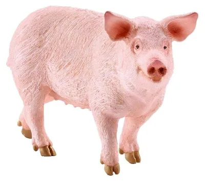 Produktbild von Schleich Pig Figur Rosa Kinder Rosa One Size