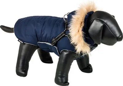 Image de Manteau pour chien Nobby Jeto 2 en 1 bleu marine, taille : 20 cm
