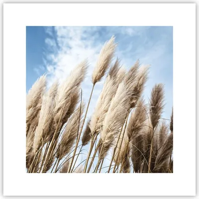 Produktbild von Poster - Poster ohne Rahmen - Stock Himmel Boho - 30x30 cm - Wand Bild - Wanddeko - Wandbilder - Kunstposter - Wandposter - Bilder - Kunstdruck - Wanddekoration - Wandbild - P2XAC30x30-4426