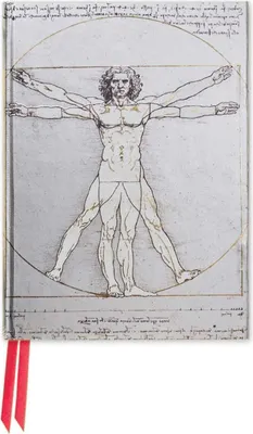 Produktbild von Da Vinci: Vitruvian Man (Foiled Pocket Journal)