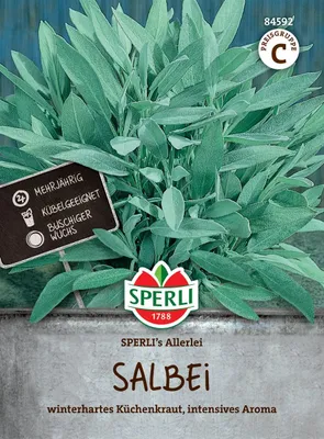 Produktbild von SPERLI Salbeisamen Allerlei Salvia officinalis 60 Pflanzen