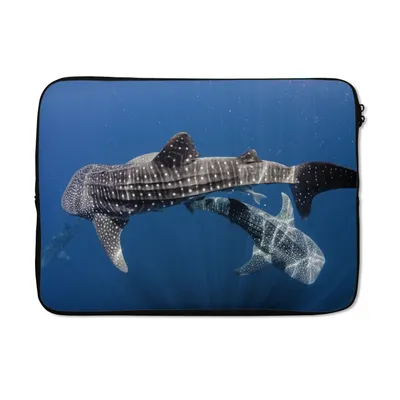 Produktbild von MuchoWow® Laptop Hülle 14 ZollZwei Walhaie Laptoptasche - Laptoptasche - Stoßsicher - Schutzhaube