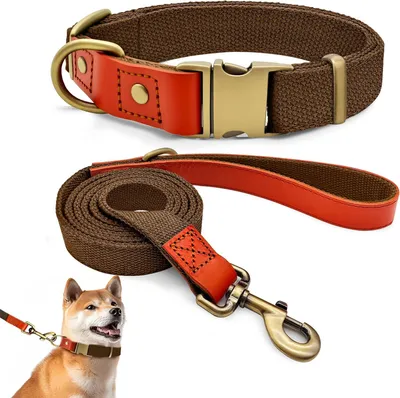 Produktbild von Hundehalsband und Leine Set, Verstellbar, Braun, Für Kleine, Mittelgroße und Große Hunde, Langlebig