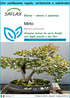 Immagine prodotto di SAFLAX Set regalo - Mirto - 30 semi - Myrtus