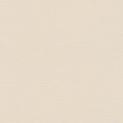 Produktbild von A.S. Creation | Natural Living | 376031 | Vliestapete | Einfarbig | 10.05 x 0.53 m | Beige | Wohnzimmer | Flur | Büro | Küche | Wohnräume