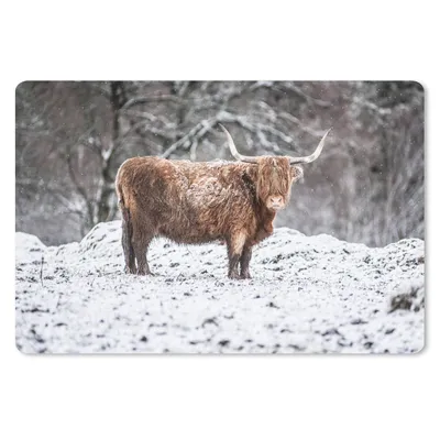 Produktbild von MuchoWow® Schreibtischunterlage Schottischer Highlander - Baum - Schnee 60x40 cm - XXL Mauspad - Großes Mauspad