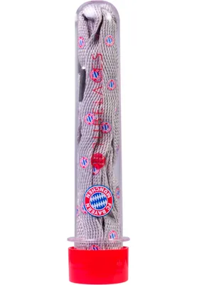 Image de Urban Classics Logo FC Bayern/gris - UNI
