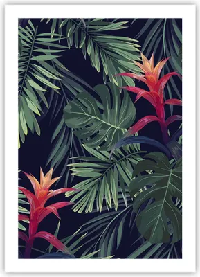 Produktbild von Poster - Poster ohne Rahmen - Exotisch Blumen Blätter - 50x70 cm - Wand Bild - Wanddeko - Wandbilder - Kunstposter - Wandposter - Bilder - Kunstdruck - Wanddekoration - Wandbild - P2XPA50x70-4308