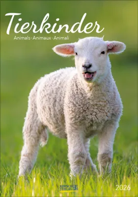 Produktbild von Korsch Wandkalender 2026 mit süßen Tierbabys – Monat für Monat e Motive