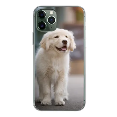 Produktbild von MuchoWow® Handyhülle Schutzhülle Hülle für iPhone 11 Pro Ein Golden Retriever Welpe läuft auf dem Bürgersteig Silikon Softcase Handy Hülle - Handy