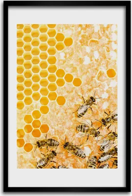 Produktbild von Bild - Bilderrahmen - 40 cm x 60 cm - MDF - Rahmen - Wandkunst - Arbeitsbienen