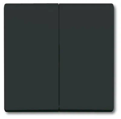 Obrázek produktu pro Busch-Jaeger 2105-35, Černá, Busch-Jaeger, 70 mm, 70 mm, 1,3 cm, 1 kusů