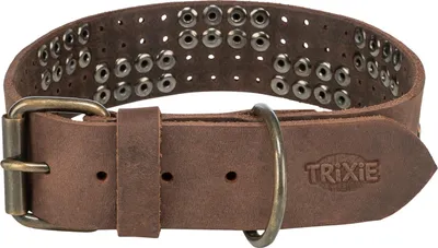 Produktbild von TRIXIE Rustic Fettleder-Halsband Nieten, extra breit - dunkelbraun - 47–54 cm/40 mm