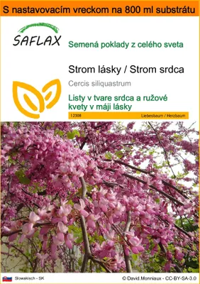 Obrázok produktu pre SAFLAX Garden in the bag - Strom lásky / Strom srdca - Cercis siliquastrum - 60 Semená - S pestovateľským substrátom v praktickom samostaviteľnom vrecku
