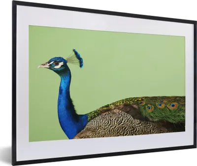 Produktbild von MuchoWow® MuchoWow® Gerahmtes Poster Pfau - Vogel - Federn 60x40 cm - Poster mit zchwarzem Bilderrahmen - Schlafzimmer - Plakat in Rahmen - Drucken