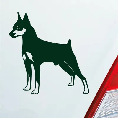 Produktbild von Auto Aufkleber Zwergpinscher Hund Dog Animal 10x10 cm Dunkelgrün Sticker Heckscheibenaufkleber