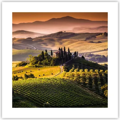 Produktbild von Poster - Poster ohne Rahmen - Landwirtschaft Bauernhof Toskana Weinberg - 40x40 cm - Wand Bild - Wanddeko - Wandbilder - Kunstposter - Wandposter - Bilder - Kunstdruck - Wandbild - P2XAC40x40-2465