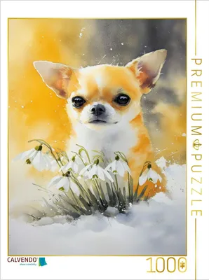 Produktbild von CALVENDO Puzzle Chihuahua | 1000 Teile Lege-Größe 64x48cm Foto-Puzzle für glückliche Stunden