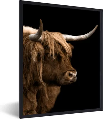 Produktbild von MuchoWow® Gerahmtes Poster Schottischer Highlander - Kühe - Schwarz 60x80 cm - Poster mit Schwarzem Bilderrahmen Wandposter Rahmen Foto Bilder - Premium - Wanddeko Wohnzimmer