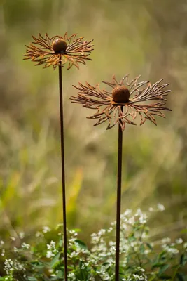 Produktbild von 2er Set Gartenstecker Rost Kornblume Metall Rost Gartendeko Edelrost rostig