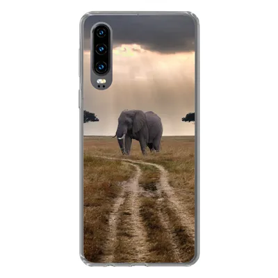 Produktbild von MuchoWow® Handyhülle Schutzhülle Hülle für Huawei P30 Elefant - Tiere - Wiese - Sonne Silikon Softcase Handy Hülle - Kartenbesitzer