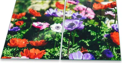 Produktbild von Herdabdeckplatte Glaskeramik 2-Teilig 2x40x52 Blumen Bunt Abdeckung Spritzschutz Glas