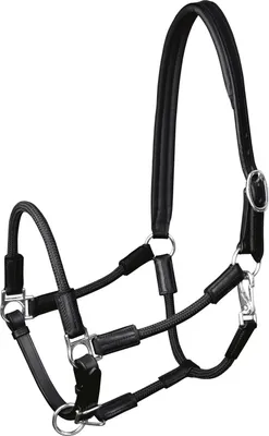 Produktbild von Waldhausen Halfter Nevada braun oder schwarz, Farbe:braun/gold, Größe:PON