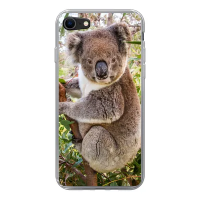 Produktbild von MuchoWow® Handyhülle Schutzhülle Hülle für iPhone 7 Koala - Baum - Blätter - Kinder - Jungen - Mädchen Silikon Softcase Handy Hülle - Kartenhalter