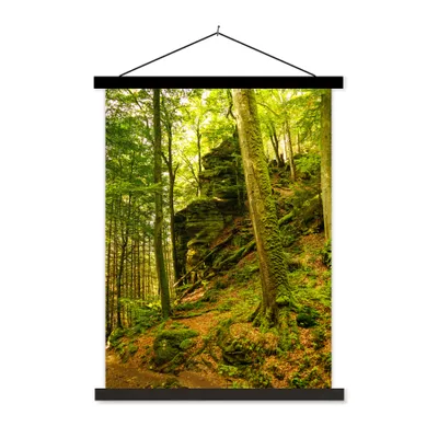 Produktbild von MuchoWow® Textilposter Bäume - Stein - Wald - Natur - Pflanzen 90x120 cm mit schwarzem Rahmen - Dekoration