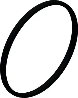 Produktbild von DT Swiss O-Ring Ø17 x 1mm NBR 70 Shore, HSOXXX00S1562S, schwarz