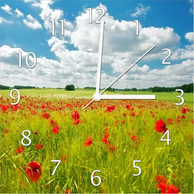 Produktbild von Wallario Design Wanduhr Grüne Wiese mit Mohnblumen aus Echtglas, Größe 30 x 30 cm