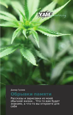 Produktbild von Obrywki pamqti