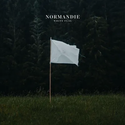 Produktbild von White Flag