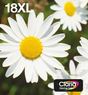 Obrázok produktu pre Epson Daisy 18XL EasyMail, Vysoký (XL) výnos, Čierna, Azúrová, Purpurová, Žltá, 11,5 ml, 6,6 ml, 1 kusov, Viacnásobné balenie