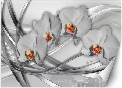 Produktbild von Vlies fototapete Orchidee Abstraktion 350x245 cm Feeby Silber inkl. Kleber einfache Montage
