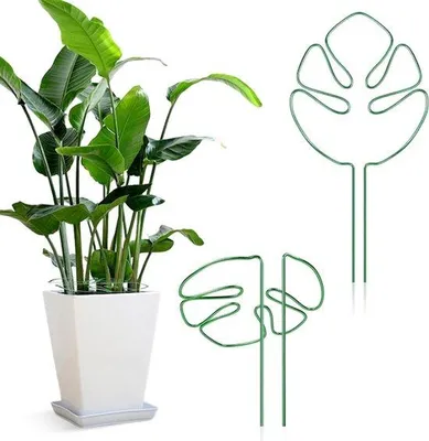 Produktbild von Klimhilfe-Set mit Monstera-Blatt-Design - 2-teilig - Metall - für vielseitige Kletterpflanzen - für Innen- und Außenbereich - grün