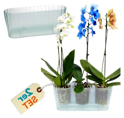 Produktbild von 2er Set Orchideentopf Transparent Orchideen Übertopf Pflanztöpfe Übertöpfe für Orchideen aus Kunststoff Innen Elegant Durchsichtig Orchideentopf groß