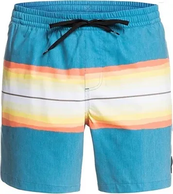 Imagen del producto de Quiksilver, pantalones de baño cortos de resina, color azul: Talla S
